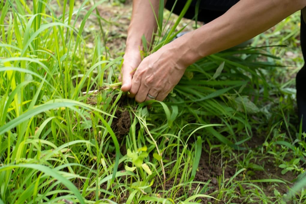 申し込みから最短7日で施工スタート